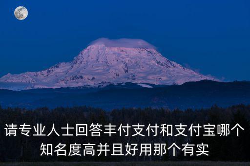 請專業(yè)人士回答豐付支付和支付寶哪個知名度高并且好用那個有實