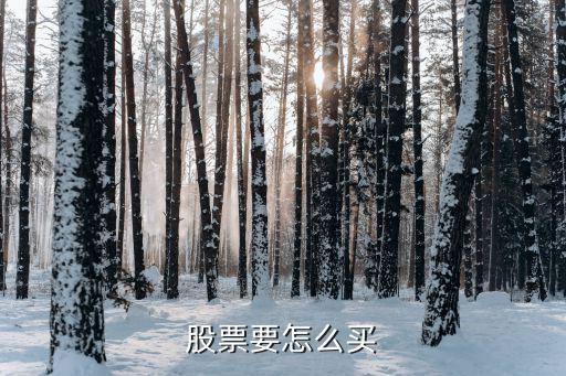 股票要怎么買