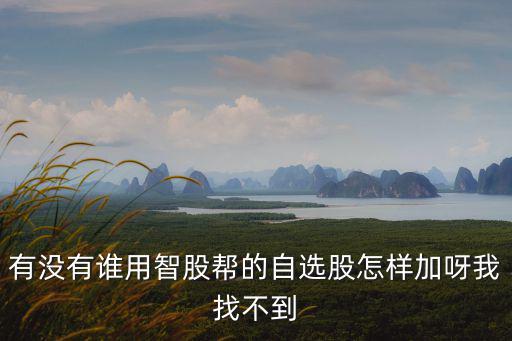 有沒(méi)有誰(shuí)用智股幫的自選股怎樣加呀我找不到