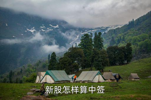 新股怎樣算中簽