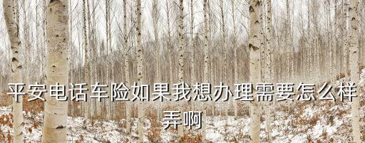 平安電話車險(xiǎn)如果我想辦理需要怎么樣弄啊