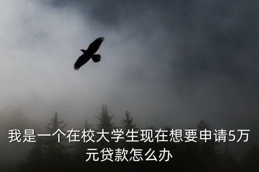 我是一個(gè)在校大學(xué)生現(xiàn)在想要申請(qǐng)5萬(wàn)元貸款怎么辦