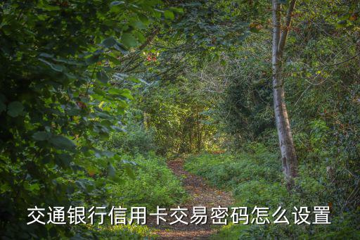 交通銀行信用卡交易密碼怎么設置