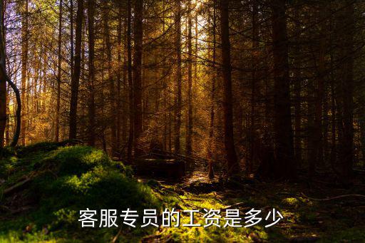 點榮貸款客服待遇怎么樣，客服的底薪一般都是多少