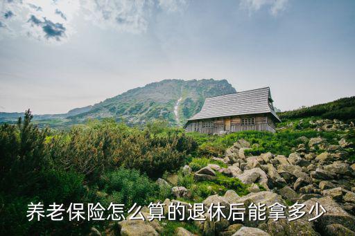 養(yǎng)老保險怎么算的退休后能拿多少