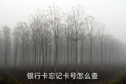 沒有卡怎么查卡號(hào)怎么辦，沒帶銀行卡怎么知道卡號(hào)