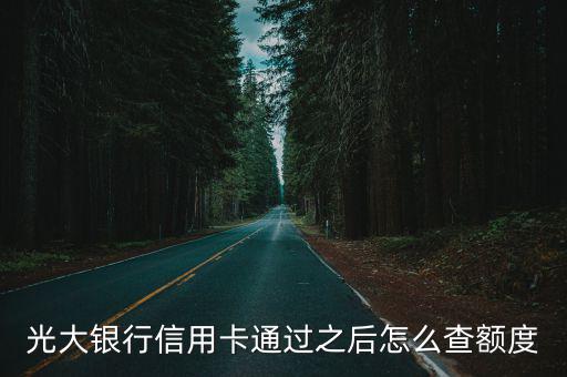 光大銀行信用卡通過之后怎么查額度