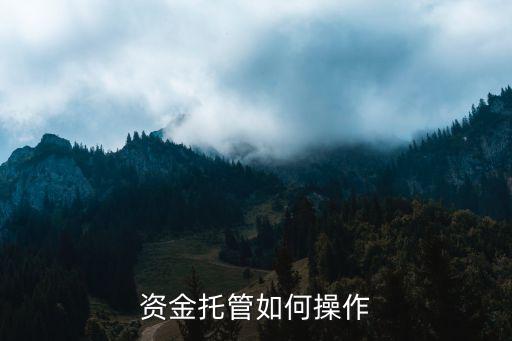 在匯資金托管怎么做，托管資產(chǎn)怎樣樣融資