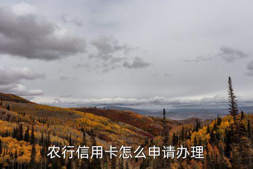 農(nóng)行的國際信用卡怎么辦理嗎，農(nóng)行信用卡怎么申請(qǐng)辦理