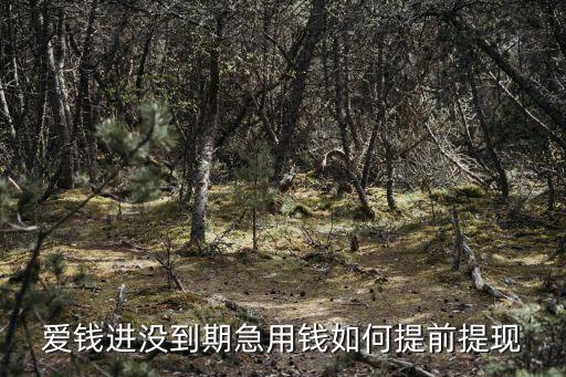 愛錢進沒到期急用錢如何提前提現(xiàn)