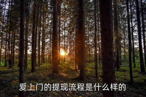 愛上門的提現(xiàn)流程是什么樣的