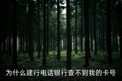 為什么建行電話銀行查不到我的卡號