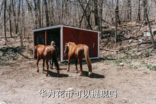 華為花幣可以提現(xiàn)嗎