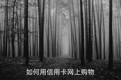 怎么在淘寶上用信用卡，中國銀行信用卡如何用支付寶在淘寶上購物