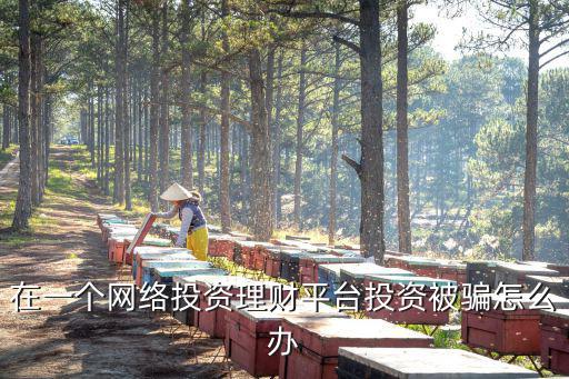 在一個網(wǎng)絡投資理財平臺投資被騙怎么辦