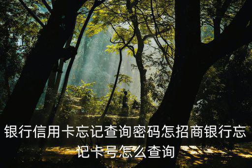 忘記卡號(hào)怎么查詢 招商，銀行卡忘記卡號(hào)怎么查