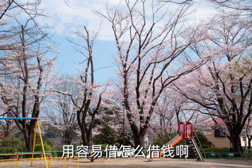 用容易借怎么借錢啊