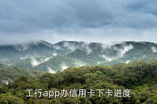 工行app辦信用卡下卡進(jìn)度