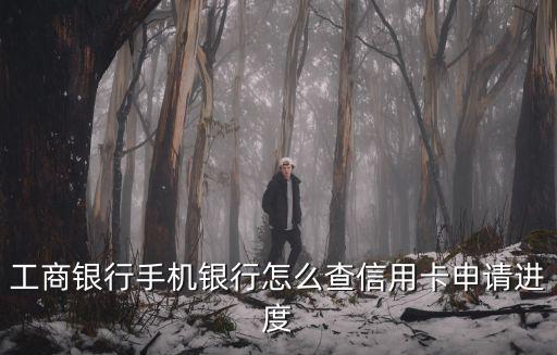 怎么在工商銀行辦卡進(jìn)度，工行app辦信用卡下卡進(jìn)度