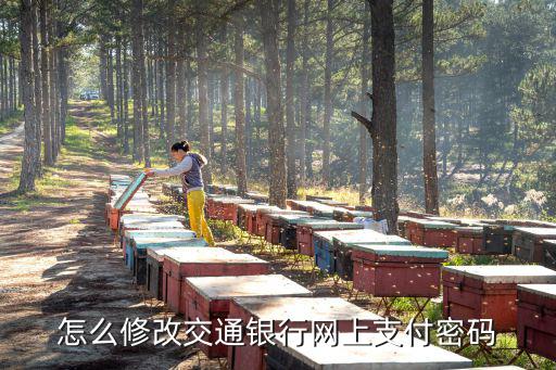 怎么修改交通銀行網(wǎng)上支付密碼