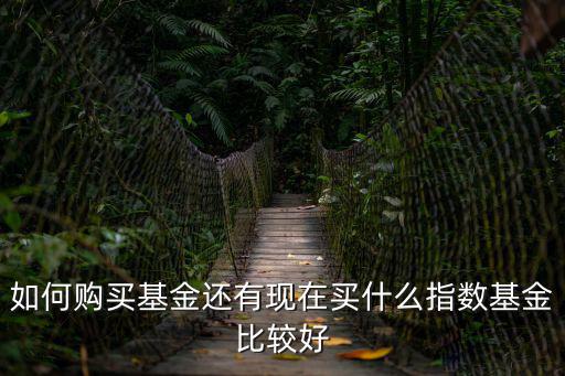 如何購買基金還有現(xiàn)在買什么指數(shù)基金比較好
