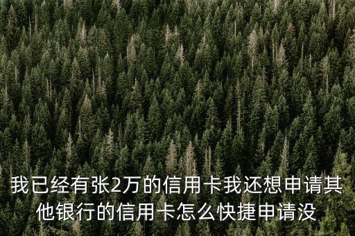 我已經(jīng)有張2萬的信用卡我還想申請(qǐng)其他銀行的信用卡怎么快捷申請(qǐng)沒
