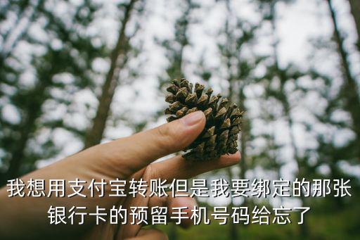 我想用支付寶轉(zhuǎn)賬但是我要綁定的那張銀行卡的預(yù)留手機(jī)號碼給忘了