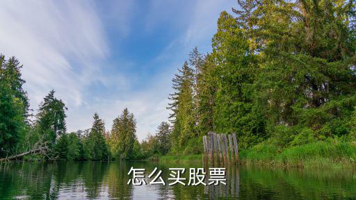 怎么買股票怎么炒股，怎么買股票