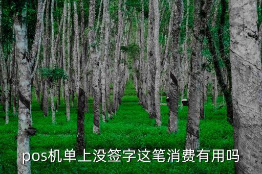 pos機(jī)單上沒簽字這筆消費(fèi)有用嗎