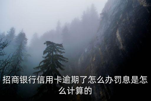 招商銀行信用卡逾期了怎么辦罰息是怎么計算的