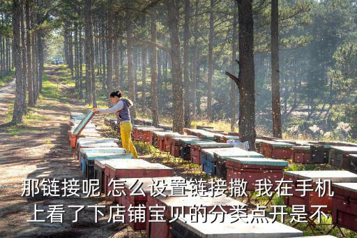 那鏈接呢 怎么設置鏈接撒 我在手機上看了下店鋪寶貝的分類點開是不