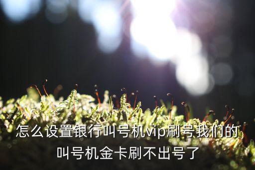 怎么設(shè)置銀行叫號(hào)機(jī)vip刷號(hào)我們的叫號(hào)機(jī)金卡刷不出號(hào)了