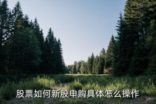 股票如何新股申購具體怎么操作