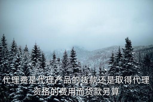 代理費(fèi)是代理產(chǎn)品的貨款還是取得代理資格的費(fèi)用而貨款另算