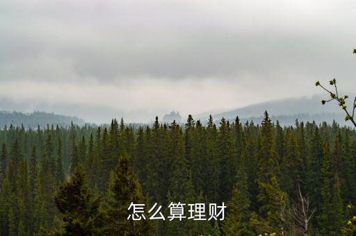 怎么算理財(cái)