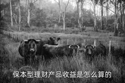 保本型理財產(chǎn)品收益是怎么算的