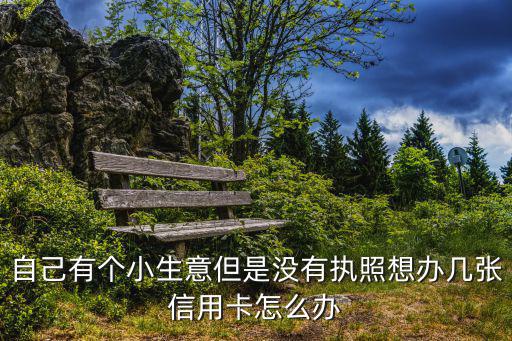 自己有個(gè)小生意但是沒有執(zhí)照想辦幾張信用卡怎么辦