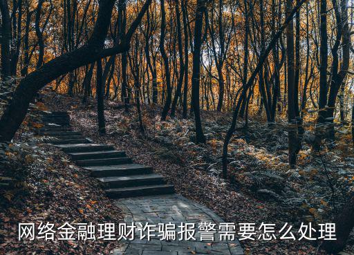 被理財app詐騙了怎么辦，網(wǎng)絡金融理財詐騙報警需要怎么處理