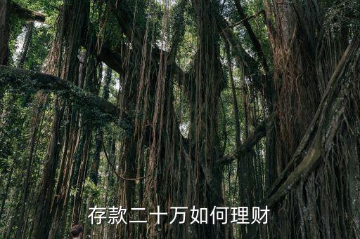 年存款20萬怎么理財產(chǎn)品，存款二十萬怎樣理 財