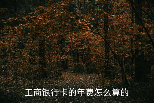 工商銀行卡的年費(fèi)怎么算的