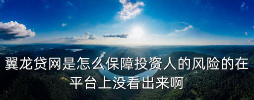 翼龍貸網(wǎng)是怎么保障投資人的風(fēng)險(xiǎn)的在平臺上沒看出來啊