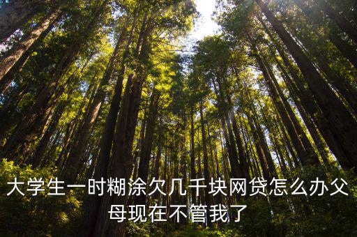 大學(xué)生一時(shí)糊涂欠幾千塊網(wǎng)貸怎么辦父母現(xiàn)在不管我了