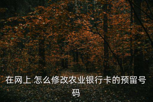 農(nóng)行怎么更改預(yù)留號(hào)碼嗎，農(nóng)業(yè)銀行預(yù)留手機(jī)號(hào)怎么改