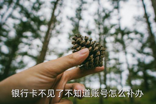銀行卡不見(jiàn)了不知道賬號(hào)怎么補(bǔ)辦