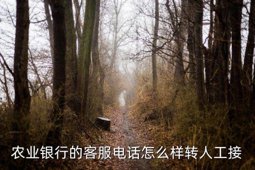 怎么轉(zhuǎn)農(nóng)行人工服務(wù)，農(nóng)業(yè)銀行的客服電話怎么樣轉(zhuǎn)人工接