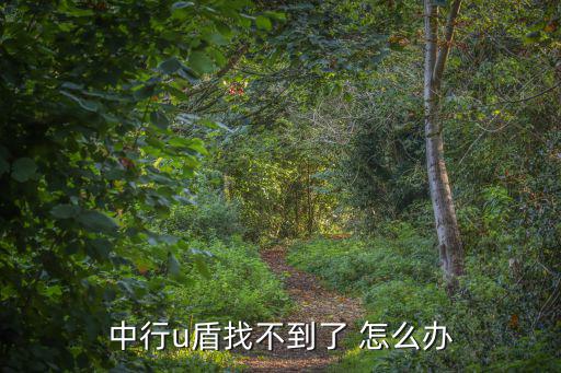 中行u盾找不到了 怎么辦