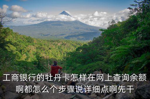 牡丹卡怎么查詢，工商銀行牡丹卡額度怎么查詢