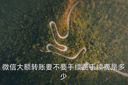 手機(jī)怎么大額轉(zhuǎn)賬手續(xù)費(fèi)，建設(shè)銀行手機(jī)銀行大額轉(zhuǎn)賬需不需要手續(xù)費(fèi)
