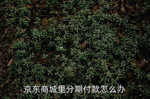 京東分期貸款怎么辦理，在京東買東西可以分期付款嗎怎么申請啊