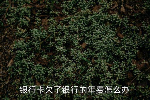 銀行卡欠了銀行的年費怎么辦